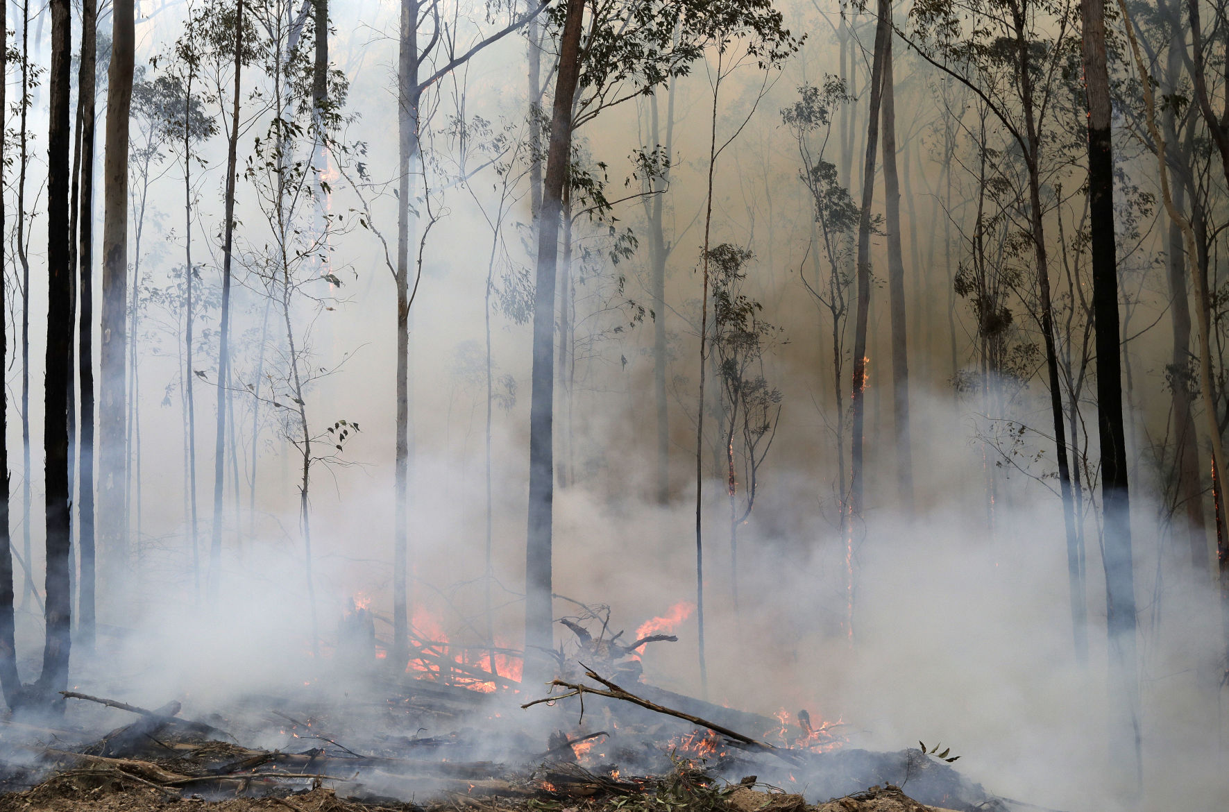 Australia wildfires